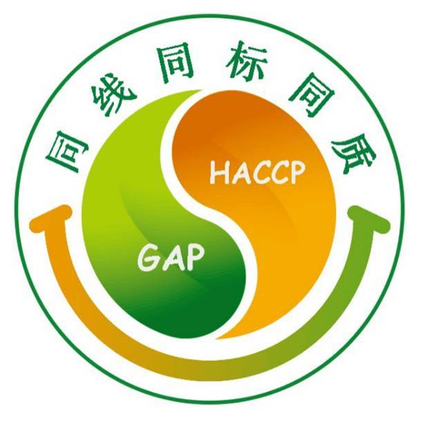 农产外销深度剖析：现状、挑战与机遇全方位解读