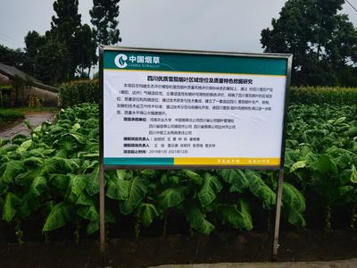 产区变化深度观察:剖析背后动因与未来走向