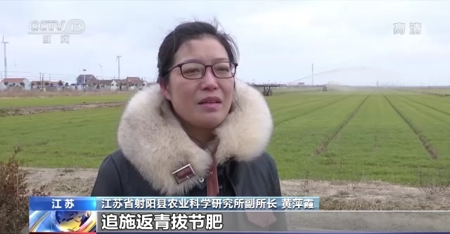 节气农情深度剖析：解读自然节律下的农事密码