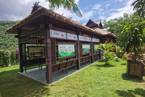 特色村寨实地见闻：领略别样风情，感受独特魅力