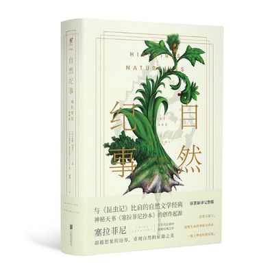 乡野漫步：邂逅风与物的诗意，书写独特的随笔篇章