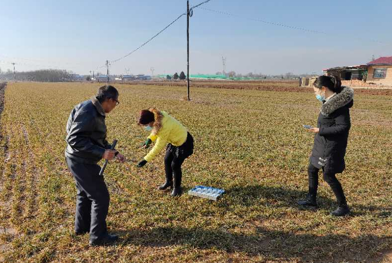 农技落地深度观察:剖析技术扎根实际的全方位图景