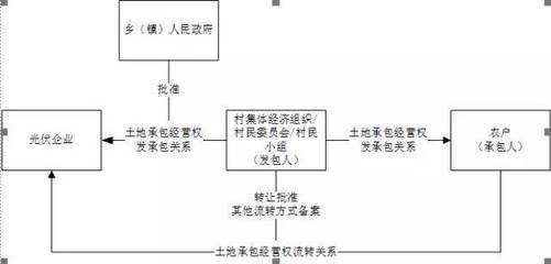 土地流转深度解读：剖析流转背后的关键因素与深远影响