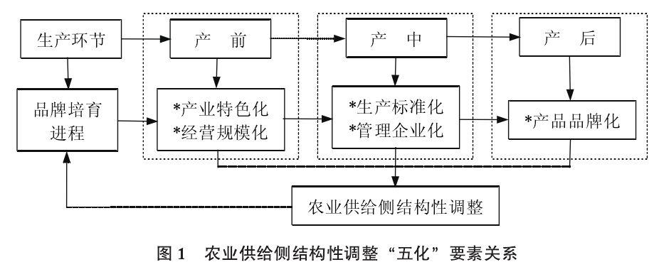 探寻农产品牌化路径：挖掘特色、拓展渠道与强化营销之道