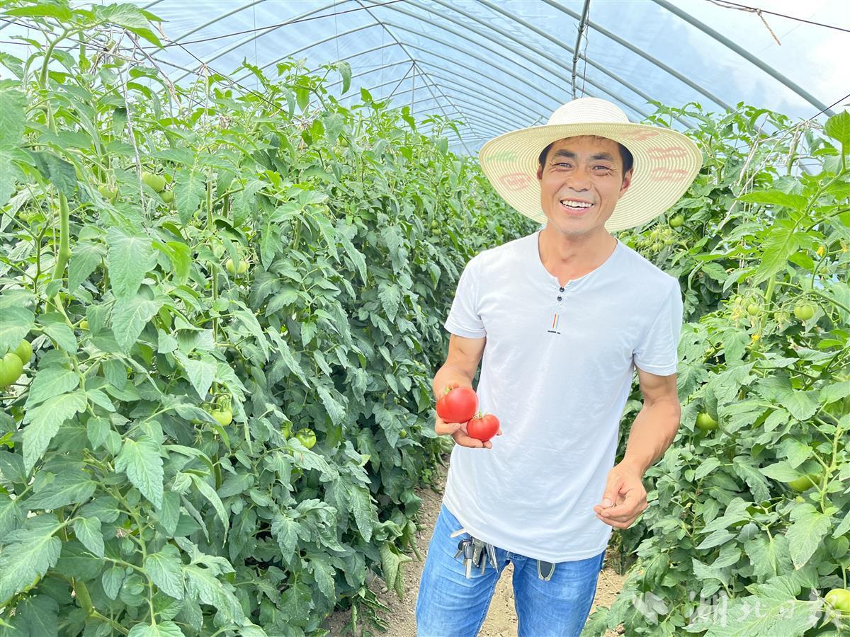 农户增收深度解读：剖析背后路径与影响因素