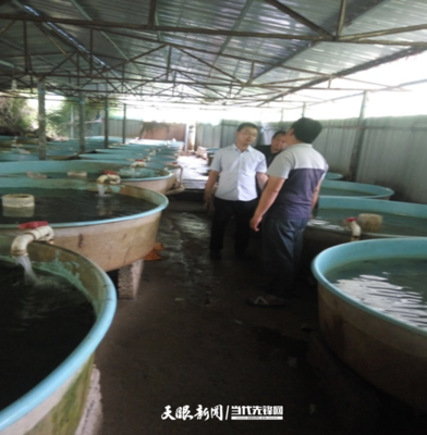 技术改良之路:那些改变行业的精彩故事与创新突破