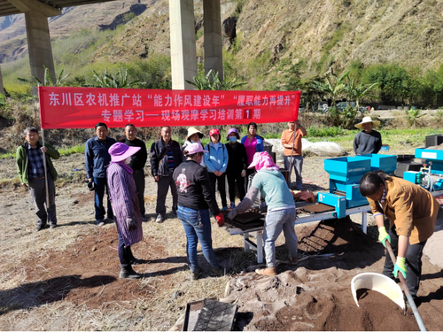 粤西荔枝园夏管实地见闻 小荔枝串起农户增收链