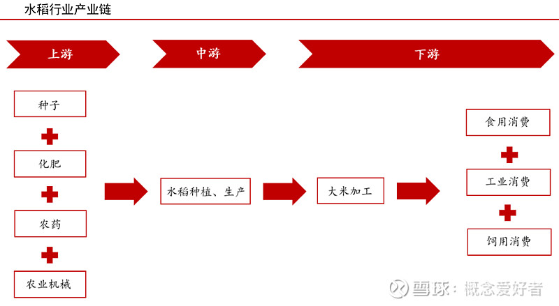 粮食生产深度解读 大国粮安背后的战略布局
