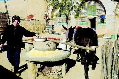 农家待客风情:热炕摆宴、土菜飘香间的质朴与欢畅