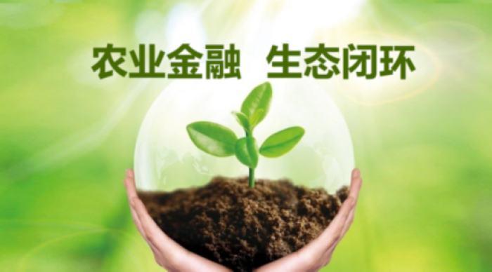 农业收益深度观察:剖析背后真相与影响因素